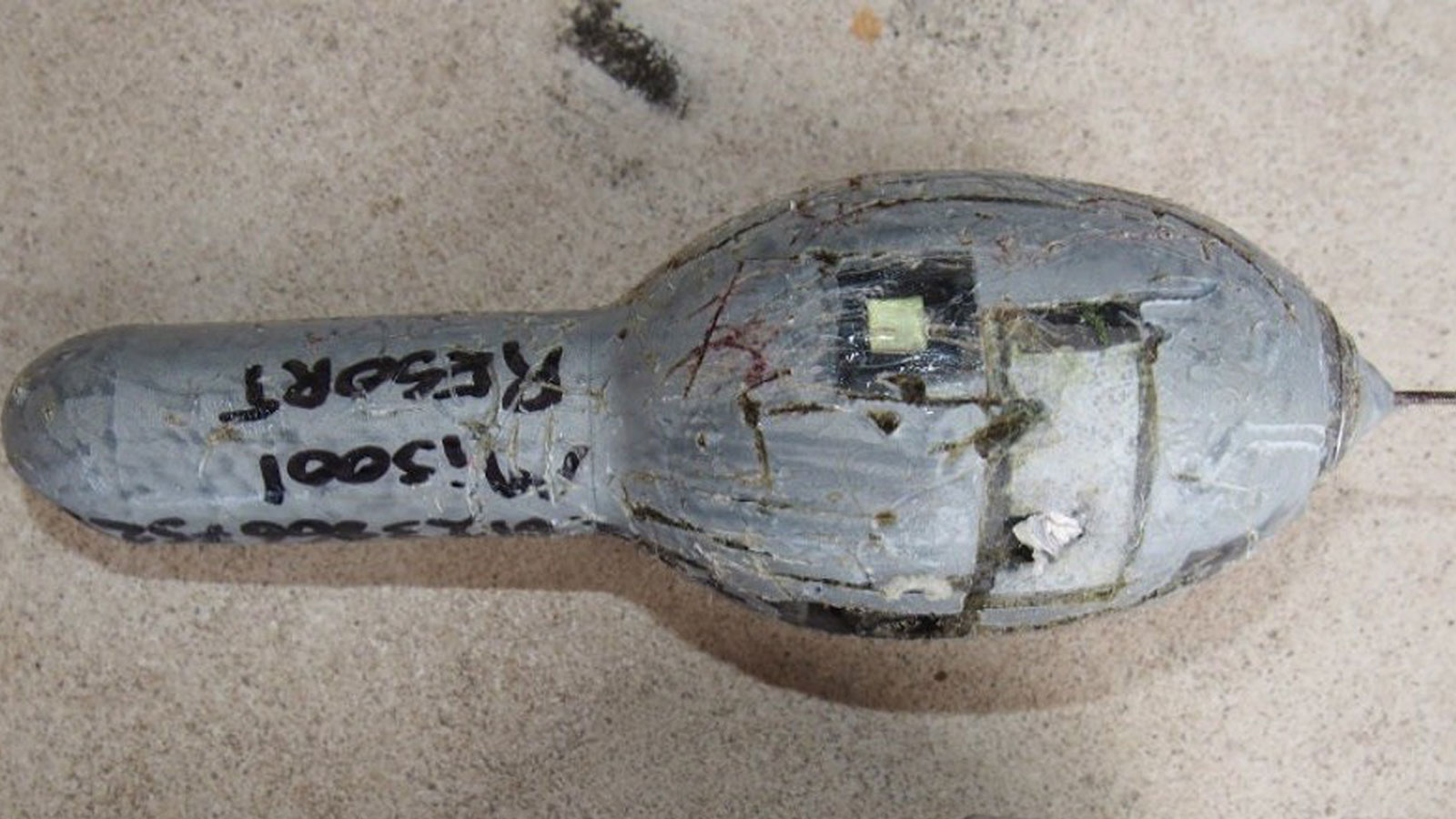 Satellite tag recovered after 6 months in the water