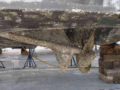 Barnacles on running gear and hull