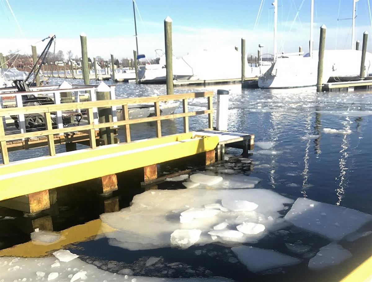 Water frozen over in marina